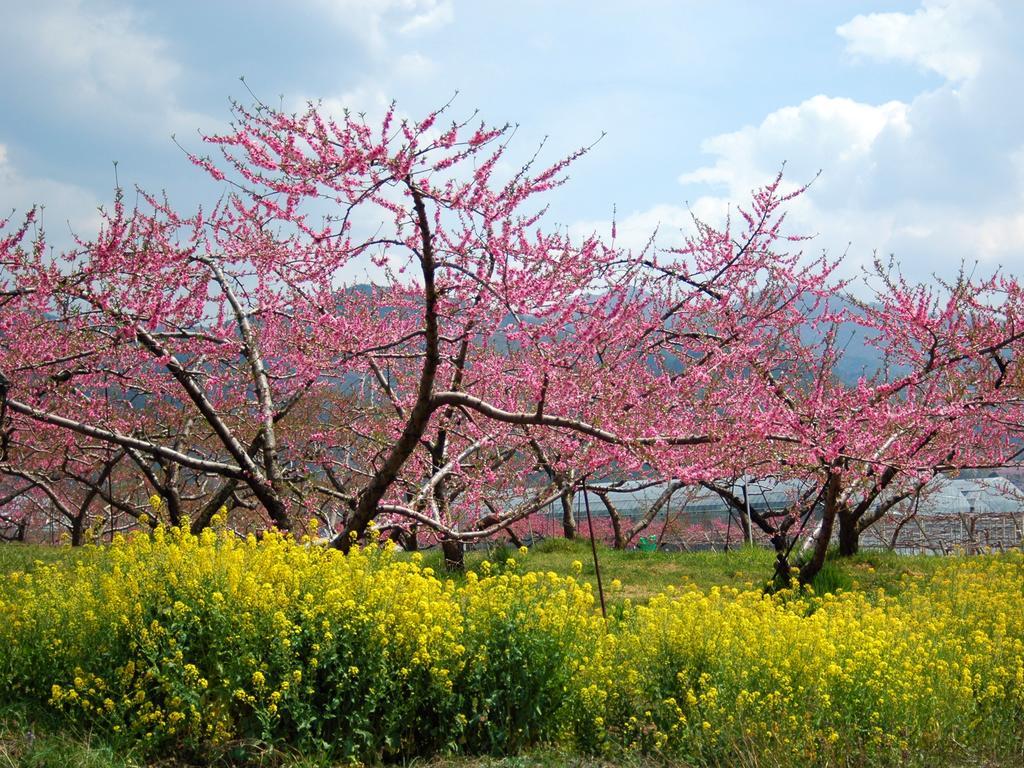 Hotel Hatta Fuefuki Bagian luar foto